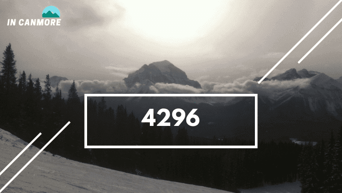 4296
