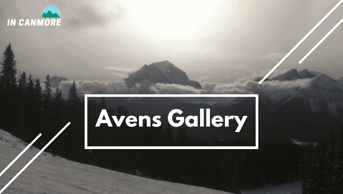 Avens Gallery