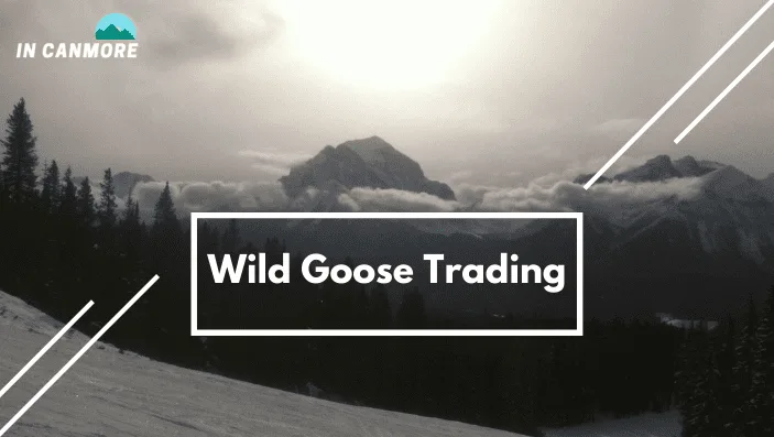 Wild Goose Trading