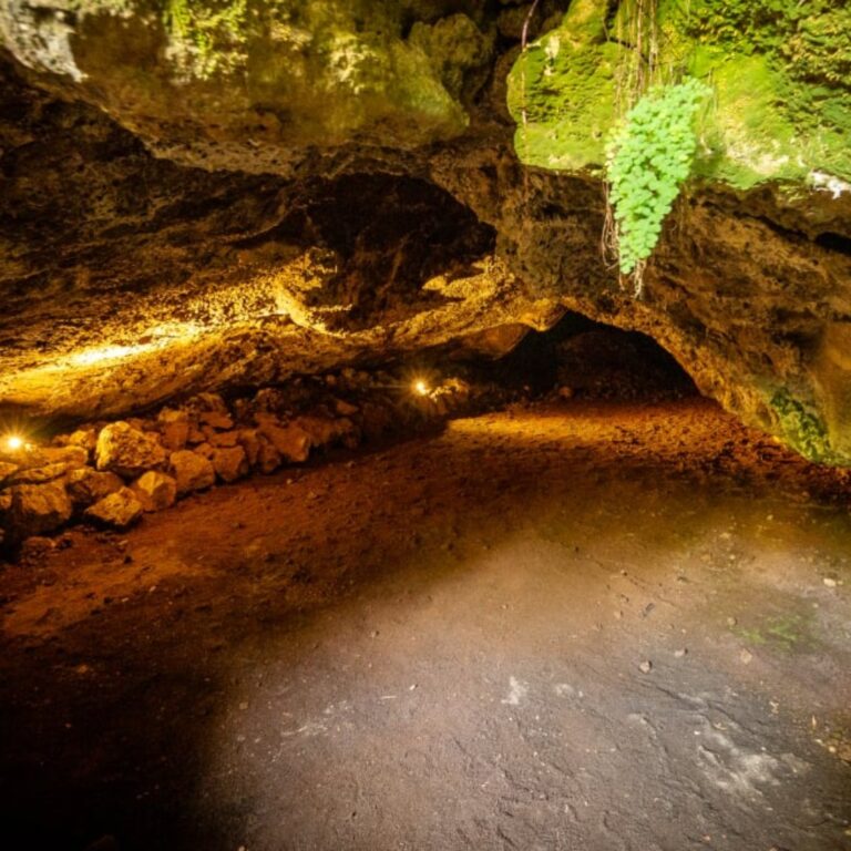 cave canmore cave tours canmore 768x768