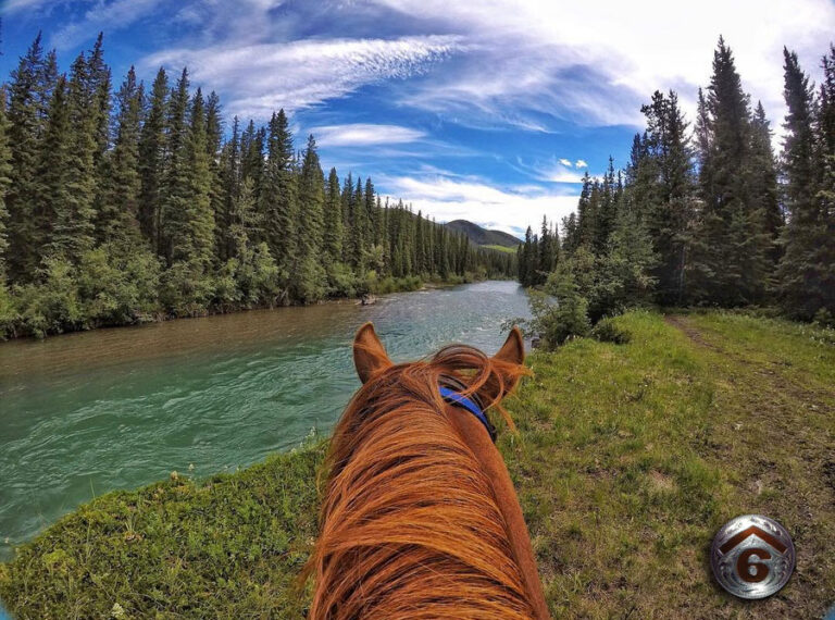 river ride rafter six ranch canmore 768x570