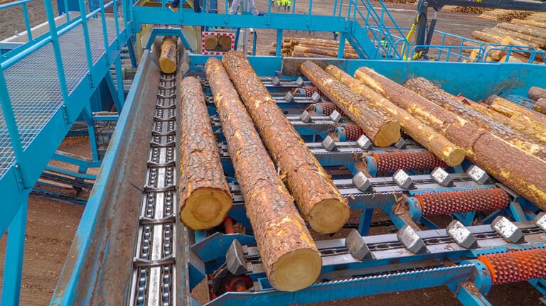 log xentric engineering canmore 768x431