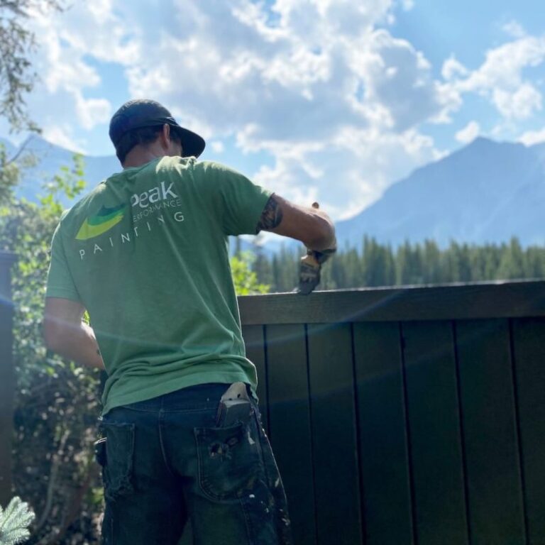 painter peak performancepainting canmore 768x768