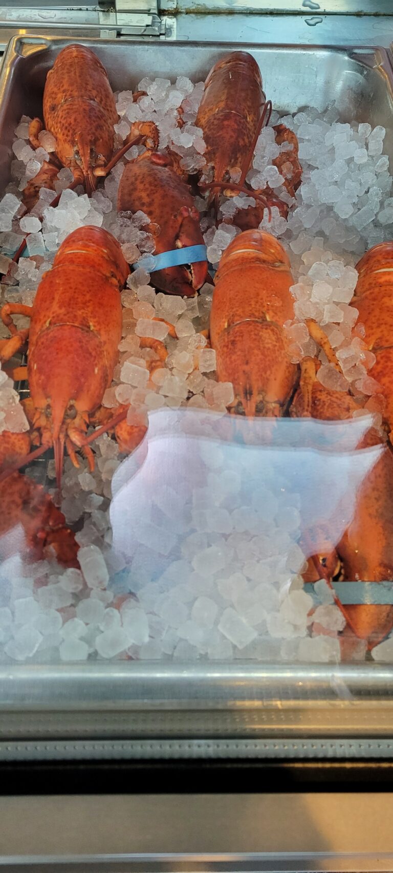 seafoods the drunken lobster oyster bar and ocean to mountain seafoods inc canmore 768x1705