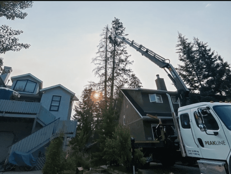 services peakline construction canmore 768x581