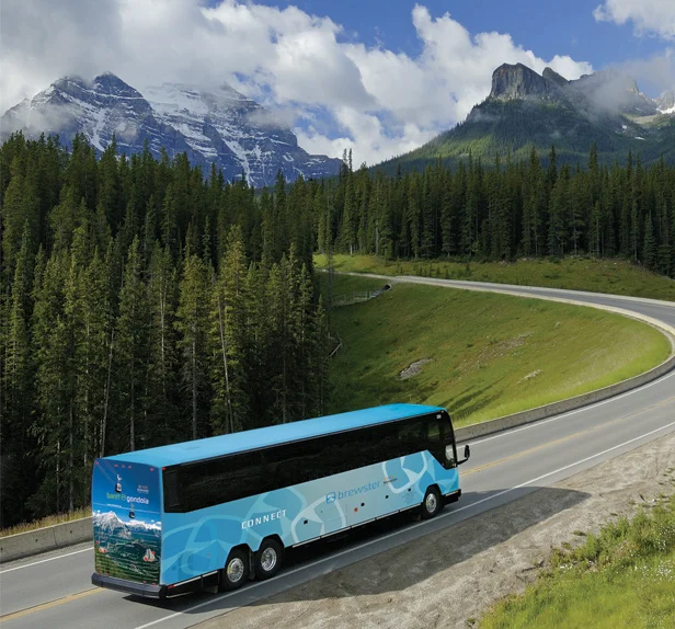 shuttle airport shuttle express canmore