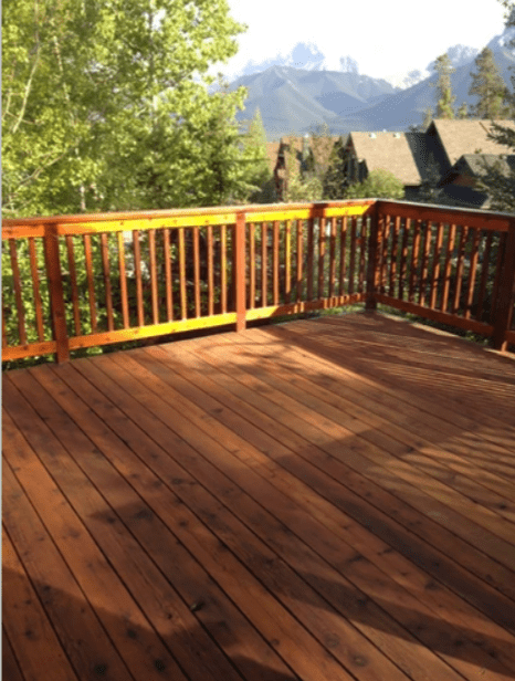 work treeline painting canmore